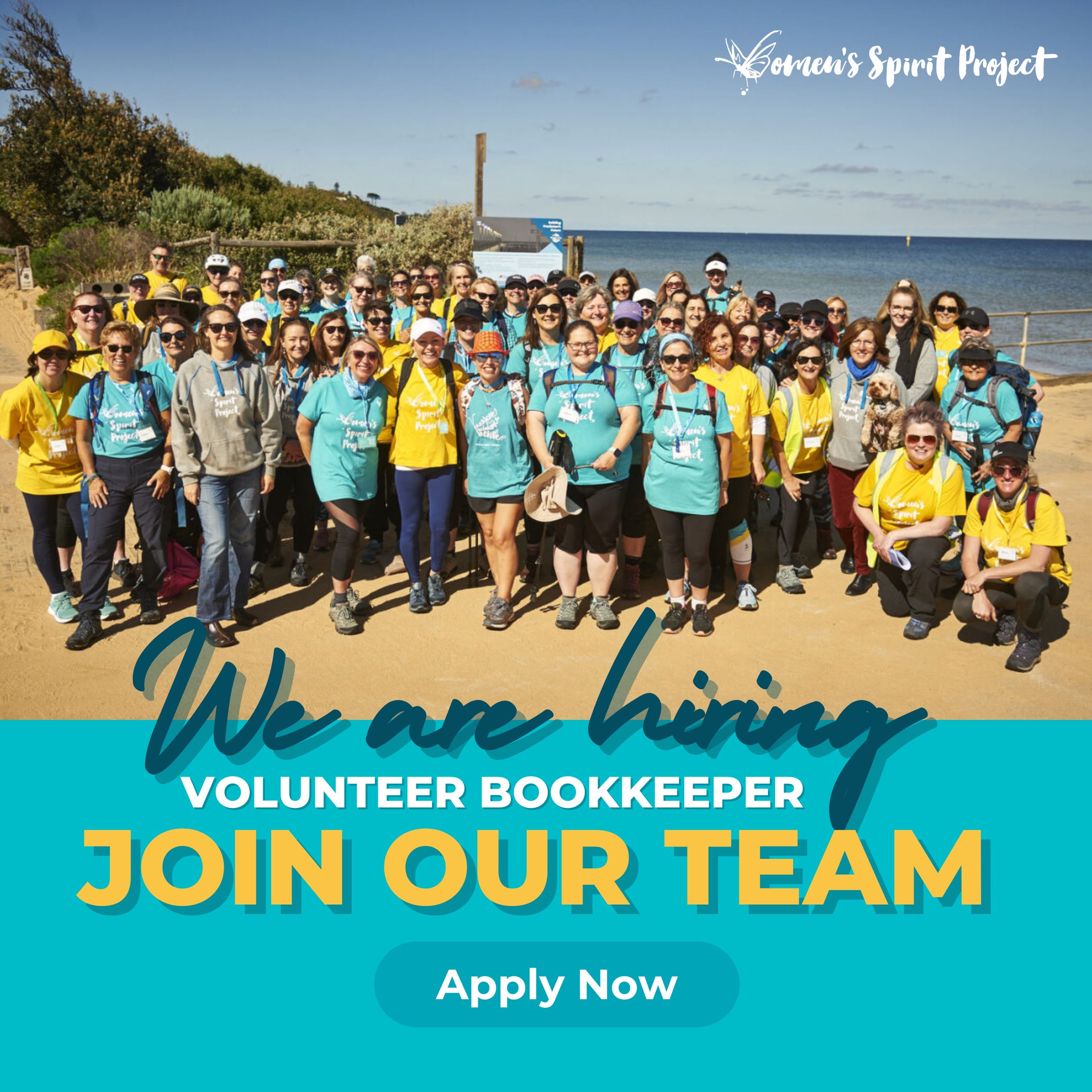we are hiring volunteer bookkeeper apply now